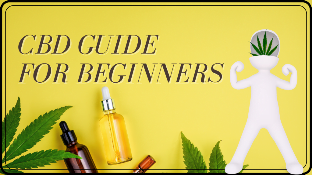 CBD guide for beginners - What is CBD best CBD brands