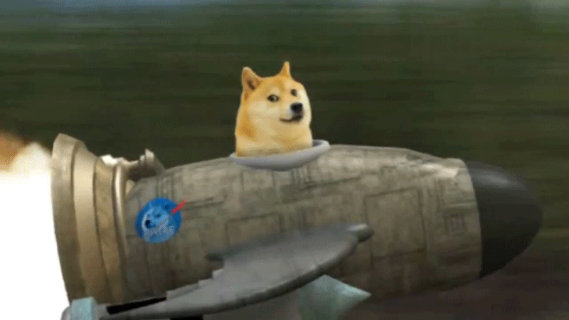 doge to the moon