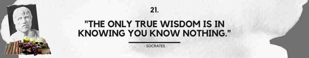 "The only true wisdom is in knowing you know nothing." - Socrates
